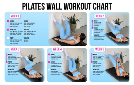 Pilates Wall Workout Chart: A Quick Guide For Beginners - BetterMe 28 Day Wall Pilates, 28 Day Wall Pilates Challenge, Pilates Wall Workout, Wall Pilates Challenge, Pilates Wall, Pilates Workout Plan, Wall Pilates, Pilates Challenge, Pilates Reformer Exercises