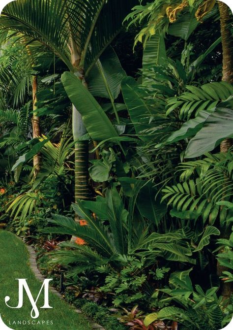 Subtropical Garden, Designer Garden, Tropical Backyard Landscaping, Small Tropical Gardens, Moderne Have, Bali Garden, Balinese Garden, Tropical Landscape Design, Tropical Garden Design