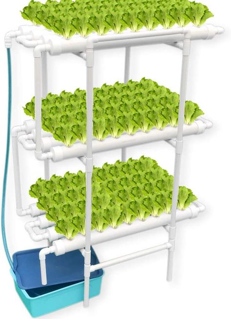 Hydroponic Gardening Diy, Hydroponics Setup, Vertical Hydroponics, Hydroponic Grow Systems, Hydroponic Farming, Hydroponics Diy, Gardening Projects, Hydroponic Growing, Pvc Pipes