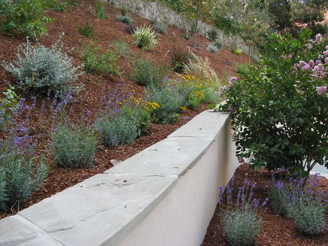 Stucco Wall, Rustic Exterior, Natural Stone Wall, Stucco Walls, Entryway Wall, Wall Garden, Patio Stones, Backyard Fun, Back Garden