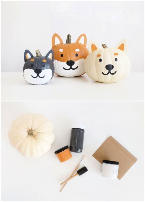 Puppy Pumpkin Painting, Corgi Pumpkin Painting, Painted Owl Pumpkin, Easy Diy Pumpkin Painting, Mini Painted Pumpkins Ideas, Cute Mini Pumpkin Painting Ideas, Dog Pumpkin Painting, Mini Painted Pumpkins, Mini Pumpkin Decorating Ideas