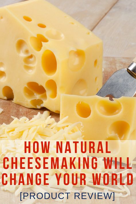 Cheese Recipes Homemade, Dairy Snacks, Cheese Making Recipes, Goat Milk Recipes, Making Cheese, Diy Cheese, Cheese Making, Butter Cheese, Homemade Cheese