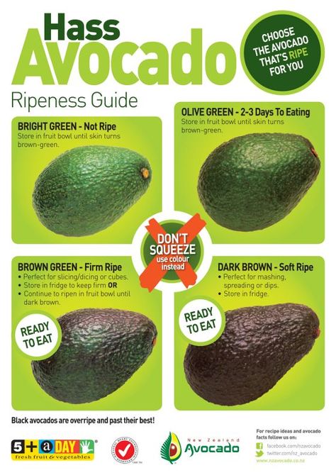 How To Choose Ripe Avocado - Video Tutorial - The WHOot Avocado Facts, Fruit Hacks, The Whoot, Food Info, Cooking Basics, Ripe Avocado, Cooking Hacks, Avocado Recipes, Food Facts