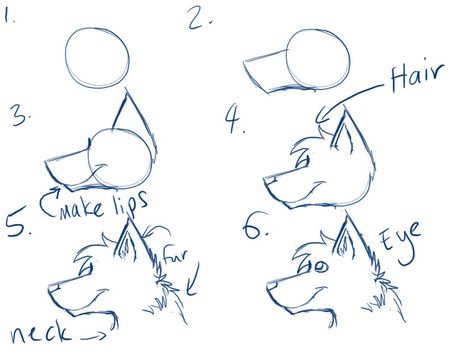 Wolf Head Side View, Wolf Side View, Head Side View, Sketch Cat, Wolf Sketch, Cat Sketch, Wolf Head, Side Profile, Side View