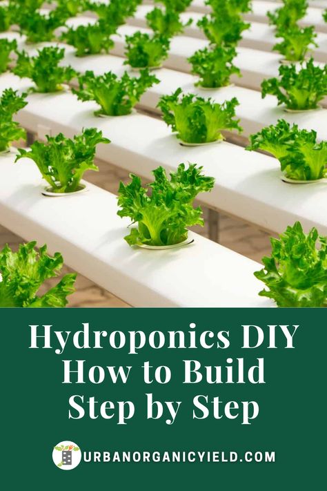 Hydroponic Gardening Diy, Indoor Hydroponic Gardening, Hydroponic Solution, Hydroponic Gardening System, Hydroponic Vegetables, Aquaponics Greenhouse, Aquaponics Diy, Hydroponic Farming, Hydroponics Diy