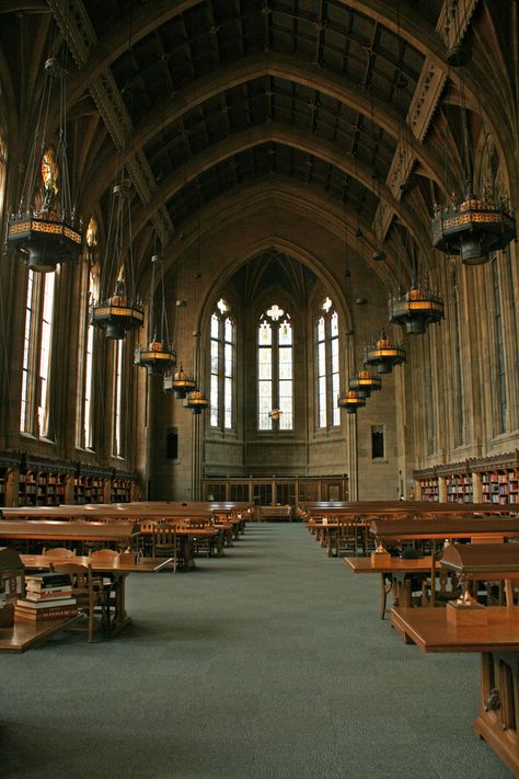 A great quiet study spot on campus. Right outside this room is the worlds largest book, very fitting to commemorate the reading room. #youW Photo by Erin Bestrom Law School Library, Library Essentials, Library Study Room, School Libraries, College Library, Autumn In New York, School Campus, Academic Motivation, Dream School