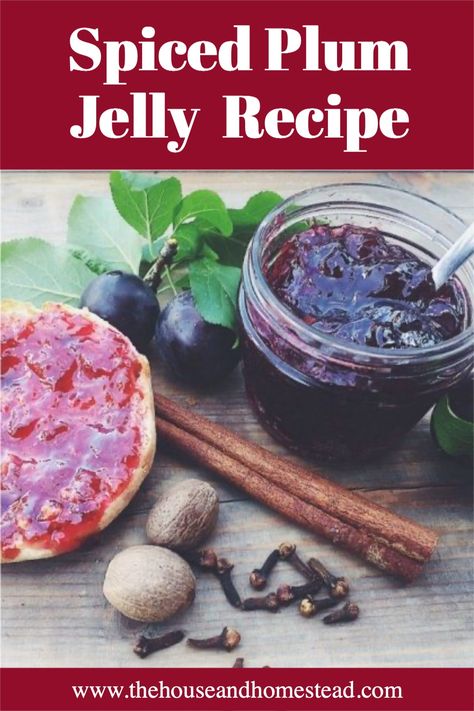 This plum jelly makes quick and easy use out of plums without having to pit them. The final product is a beautiful purple, sweet, spiced plum jelly that tastes like what cozy feels like. It also makes an excellent homemade Christmas gift! Spiced Plum Jelly Recipe, Spiced Plum Jam, Dried Plums Recipes, Plum Jelly Recipe, Marmelade Recipe, Homestead Christmas, Freezing Recipes, Prune Plum, Plum Juice