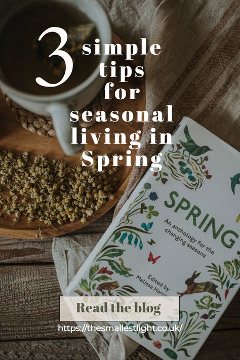 Read the blog for 3 simple ways to mark the arrival of Spring, celebrate the equinox and invite that vital Spring energy into our homes. Spring. Spring home. Spring interiors. Seasonal living. Natural living. Witchy Spring Decor, Living Seasonally, Spring Energy, Spring Slow Care, Seasonal Living, Spring Hygge Ideas, Hygge Spring, Spring Hygge, Refreshing Summer Recipes