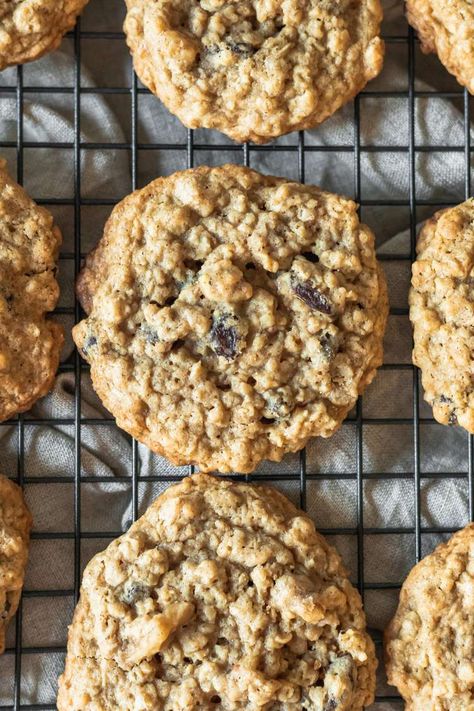 Original Oatmeal Cookie Recipe, Best Oatmeal Raisin Cookies, Cookie Recipes Oatmeal Raisin, Oatmeal Raisin Cookies Chewy, Homemade Oatmeal, Delicious Christmas Cookies, Favorite Cookie Recipe, Oatmeal Cookie Recipes, Best Oatmeal