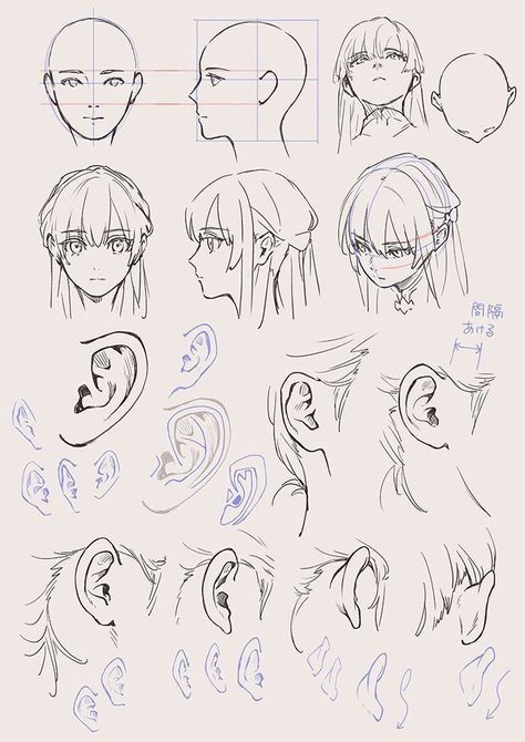 Face Anatomy Drawing Anime, Side Art Reference, Anime Sketch Anatomy, Anatomy Reference Anime, Manga Anatomy Reference, Face Anime Tutorial, Anime Head Drawing Reference, Anime Face Anatomy, Anime Body Anatomy