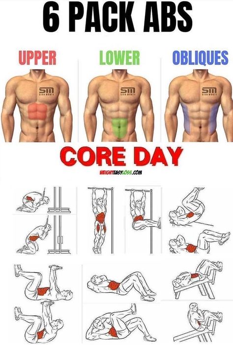 Core Day, Sixpack Workout, Trening Sztuk Walki, Gym Workout Planner, Beginner Workouts, Six Pack Abs Workout, Gym Abs, Abs Exercises, Gym Workout Chart