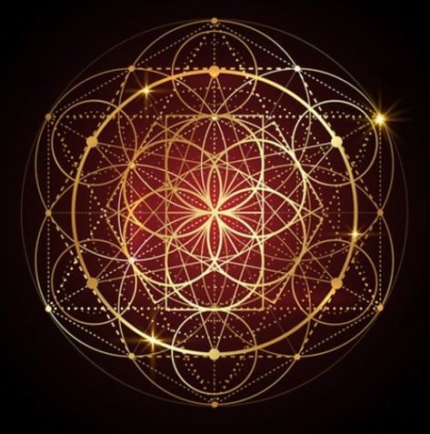 What is the meaning of the Flower of Life? Learn all about it on UniGuide.com. #sacredgeo #flowers #floweroflife #sacredgeometry Flower Of Life Meaning, Lotus Flower Meaning, Flower Of Life Tattoo, Flower Of Life Symbol, Life Meaning, Geometry In Nature, Sacred Geometry Patterns, Peace Meditation, Vitruvian Man