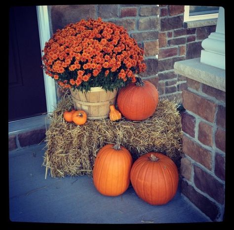 Outdoor Pumpkin Display Front Porch, Fall Decore Idea Front Porch, Front Door Pumpkin Display, Fall Decor Inspiration Front Porch, Small Front Porch Fall Decor Ideas Farmhouse, Autum Decorations Outdoor Front Porch, Front Yard Autumn Decor, Autumn Home Decor Outdoor, Front Of House Fall Landscape Ideas