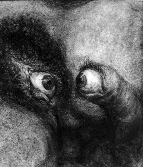 Paul Rumsey. Eyes, 1999. Paul Rumsey, Cabinet Of Curiosity, Macabre Art, Goth Art, Creepy Art, Weird Art, Surreal Art, Horror Art, Dark Fantasy Art