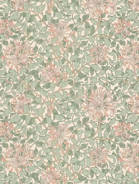 Morris Wallpaper Bedroom, Craftsman Bathrooms, Honeysuckle Wallpaper, Morris And Co, Hijab Design, William Morris Wallpaper, Morris Wallpapers, Feature Wallpaper, Wallpaper Rolls