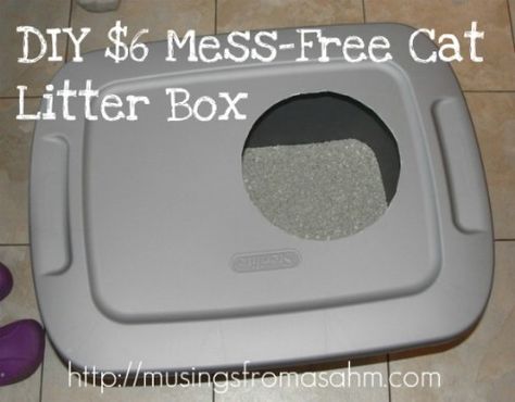 20 Purrfect DIY Projects for Cat Owners Litter Box Ideas, Diy Litter Box, Chat Diy, Ham Recipe, Scalloped Potatoes, Cat Box, Free Cats, Animal Projects, Cat Training