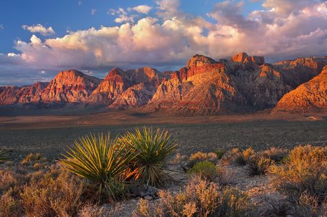 https://flic.kr/p/nZnQ2Y | Red Rock Sunrise | A sleeping bag, tent & freeze-dried food are important contributors to almost all my images--but not this one.  On this morning I rose from my own bed, enjoyed a home-cooked breakfast, and made the short drive to Red Rock Canyon National Conservation Area, just outside Las Vegas, Nevada. Red Rock Canyon National Conservation Area, Grand Canyon Sunset, Dried Food, Red Rock Canyon, Beautiful Landscape Photography, Desert Art, Amazing Nature Photos, Watercolor Landscape Paintings, Freeze Dried