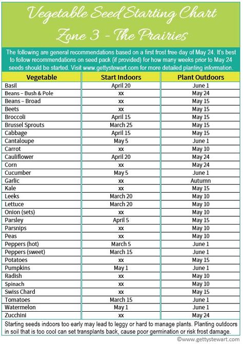 Vegetable Seed Starting, Seed Starting Chart, When To Start Seeds Indoors, When To Start Seeds, Seed Spacing, Planting Chart, Start Seeds Indoors, Growing Food Indoors, Indoor Vegetables