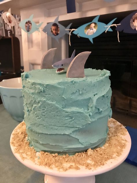 Simple Shark Cake, Shark Smash Cake, Easy Shark Birthday Cake, Cute Shark Birthday Cake, Finny The Shark Cake, Shark Bait, Shark Cake, Shark Party, Shark Birthday