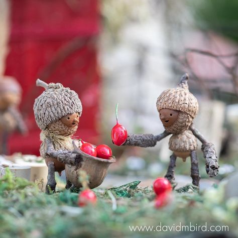 Twig People, Botanical Center, Acorn Crafts, Fairy Garden Crafts, Deco Nature, Fairy Crafts, Fairy Garden Houses, Miniature Crafts, Nature Crafts