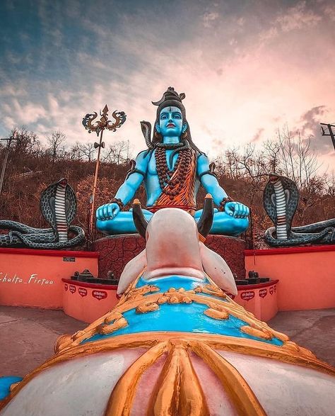 Shiv Bholenath, Bear Character Design, Indian Wisdom, Holi Photo, Cute Love Photos, Wallpaper Photo Gallery, Lord Photo, Hanuman Pics, Shri Ram Photo