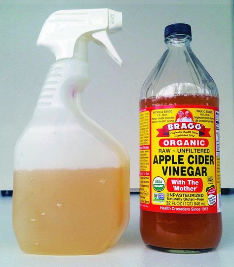 Apple Cider Vinegar Dogs, Apple Cider Vinegar For Dogs, Dog Hot Spots, Apple Cider Vinegar Rinse, Flea Remedies, Dog Spray, Dog Journal, Apple Cider Vinegar Benefits, Vinegar Rinse