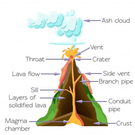 Volcano Layers Project, Volcanoes Worksheet, Volcano Lesson, Volcano Science Fair Project, Volcano Diagram, Diy Volcano Projects, Types Of Volcanoes, About Volcano, Landform Projects