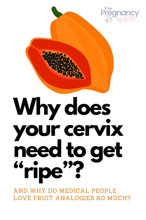 Cervical ripening is the process from which the cervix turns from hard like rubber into soft and pliable more like a softer cheese. We will discuss why it’s important, how it happens and how long it takes! How To Ripen Your Cervix Naturally, Exercise To Dilate Cervix Faster, How To Check Your Cervix For Dialation At Home, How To Open Cervix Naturally, Cervical Ripening, Midwives Brew, Cervical Effacement, False Labor, Braxton Hicks