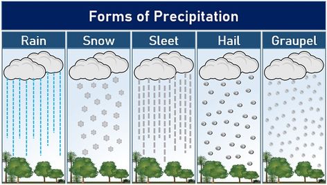 Types Of Precipitation, Future Educator, Weather Words, Meteorology, Severe Weather, Earth Science, Science, Education, Quick Saves