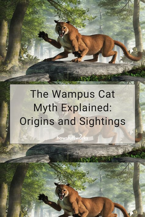 Cryptids Of Tennessee, Appalachian Folklore Creatures, Appalachian Mythology, Appalachian Cryptids, Appalachian Legends, List Of Cryptids, Appalachian Folklore, Wampus Cat, Mystical Creatures Mythology