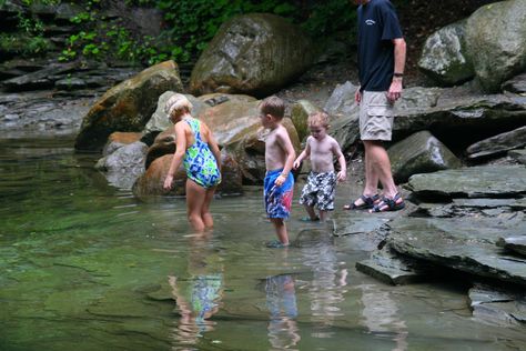 Chautauqua Gorge: A Hidden Gem in Chautauqua County, New York Chautauqua Lake, Seneca Falls, Lake Style, Swimming Hole, Mental Health Day, Family Destinations, Swimming Holes, Hidden Gem, New York State