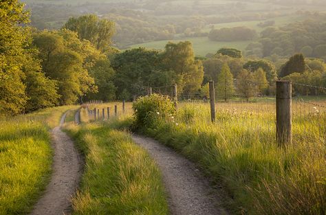 English country lane | Big sigh..... love this time of year.… | Andrew Kearton | Flickr 2k Wallpaper, Field Wallpaper, Country Lane, Nature Hd, Country Landscaping, Beautiful Nature Wallpaper, English Countryside, Nature Wallpaper, Landscape Photos