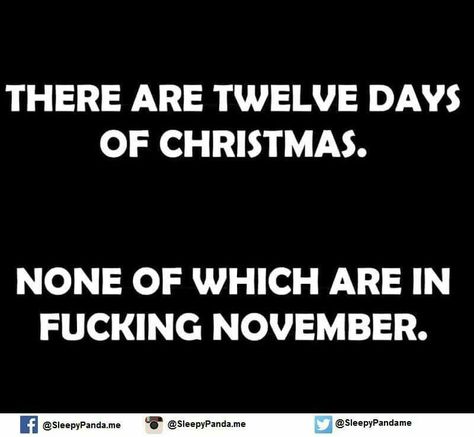 Christmas In November, Anti Christmas, November Christmas, Hate Christmas, Christmas Memes, Bah Humbug, Twelve Days Of Christmas, Word Of Advice, Funny Cartoon Quotes