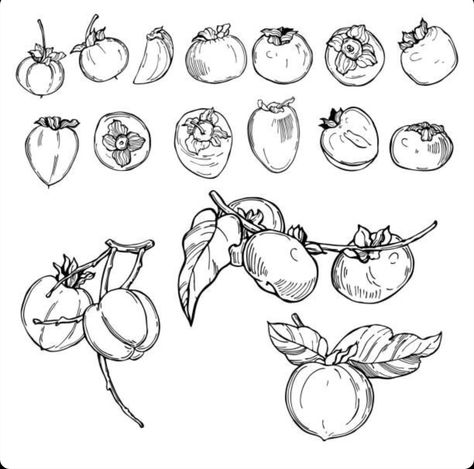 Persimmon Tree Tattoo, Persimmons Tattoo, Persimmon Drawing, Persimmon Tattoo, Vegetables Illustration, Branch Drawing, Vegetable Illustration, Beaded Curtain, Fruits Drawing