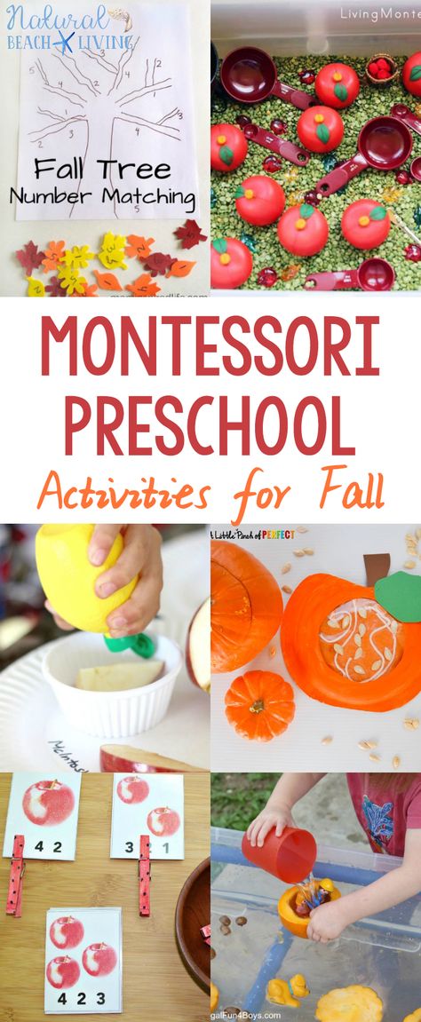 30+ Amazing Montessori Fall Activities for Preschool and Kindergarten, Montessori Fall Practical Life, Montessori Books, Montessori Printables, Montessori Themes #Montessori Montessori Crafts Preschool, Fall Preschool Themes, Practical Life Fall Activities, Fall Theme Montessori Activities, Montessori Fall Activities, Halloween Montessori Practical Life, Montessori Preschool Activities, November Montessori Practical Life, Montessori Themes