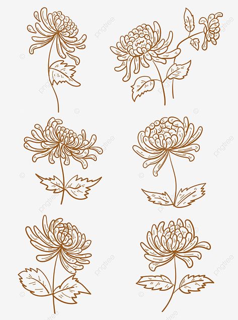 Drawing Of Chrysanthemum, Chrysanthemum Illustration Simple, Chrysanthemum Drawing Simple, Autumn Display Boards, Chrysanthemum Drawing, Drawing Wind, Drawing Autumn, Paper Bag Design, Clay Texture