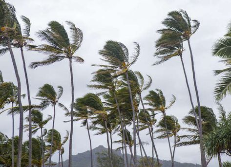 Highest Wind Speed Recorded in America | The Strangest Weather Events in US History Tornado Alley, Strange Weather, Crazy Weather, Weather Instruments, Dust Bowl, Extreme Weather Events, Bob Vila, Storm Surge, Falling From The Sky