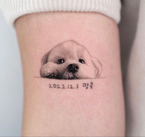 Cavapoo Tattoo Ideas, Shiloh Tattoo, Havanese Tattoo, Maltipoo Tattoo, Maltese Tattoo, Tatoo Dog, Pet Memorial Tattoo, Animal Tattoos For Women, Dog Portrait Tattoo