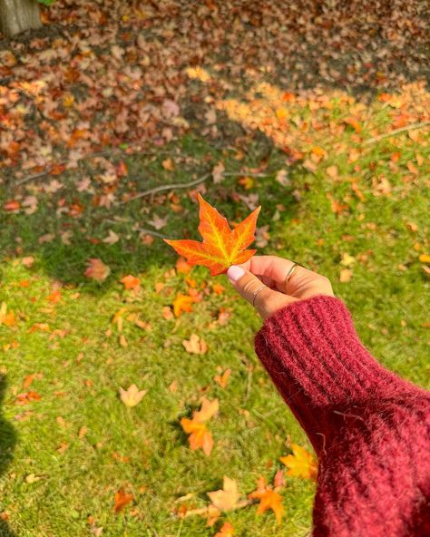 it’s starting to feel like la la la season 🍁☕️ - - Pinterest girl, Pinterest aesthetic, outfit inspo, vsco girl, coconut girl ,fall outfits, fall fashion inspo, fall aesthetic, outfit ideas, fall fashion, cozy fall, sweater weather #coastalstyle #pinterestaesthetic #pinterestoutfit #oufitinspo #casualoutfit #coconutgirl #falloutfits #fallaesthetic #fallstyle Vsco Fashion Aesthetic, Fall Girl Aesthetic, Girl Fall Outfits, Cozy Fall Sweater, Fall Aesthetic Outfit, Outfit Ideas Fall, Vsco Girl, Aesthetic Outfit Ideas, Fall Sweater