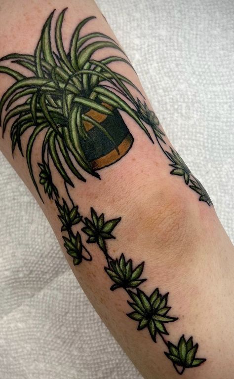 Plant Tattoo American Traditional, Colored Halloween Tattoos, American Traditional Tree Tattoo, Traditional Style Plant Tattoo, Plant Filler Tattoo, Color Plant Tattoo, American Traditional Vines, American Traditional Plants, Filler Tattoos Traditional