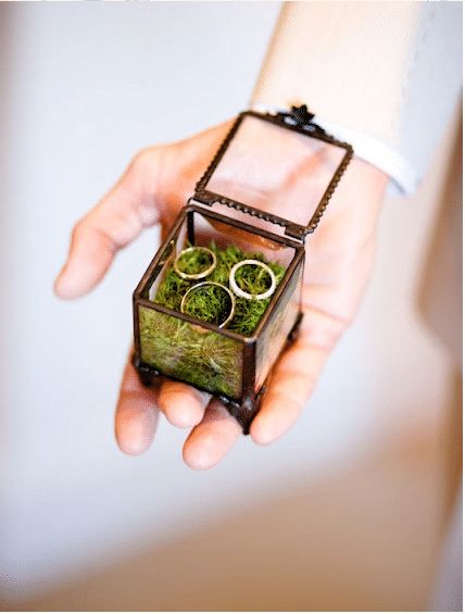 Glass Ring bearer box Ring Bearer Holder, Woodland Themed Wedding, Boho Wedding Ring, Western Themed Wedding, Ring Bearer Box, Eco Chic, Simply Chic, Diy Rings, Glass Rings