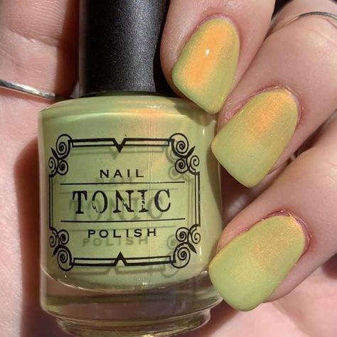 Slime and Snails Nail Polish Swatches, Indie Nail Polish, Dream Nails, Funky Nails, Nail Art Inspiration, Mellow Yellow, Nail Polish Colors, Swag Nails, How To Do Nails