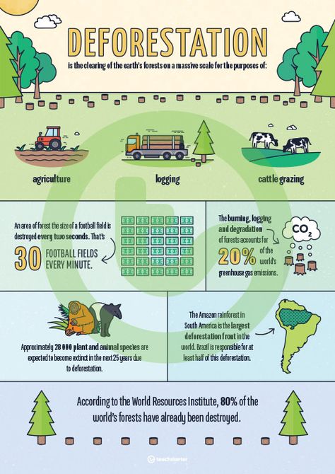 Deforestation Infographic Poster Teaching Resource Deforestation Infographic, Geography Infographic, Deforestation Facts, Deforestation Poster, Rainforest Poster, Informative Poster, What Is Climate, Poster Information, Infographic Inspiration