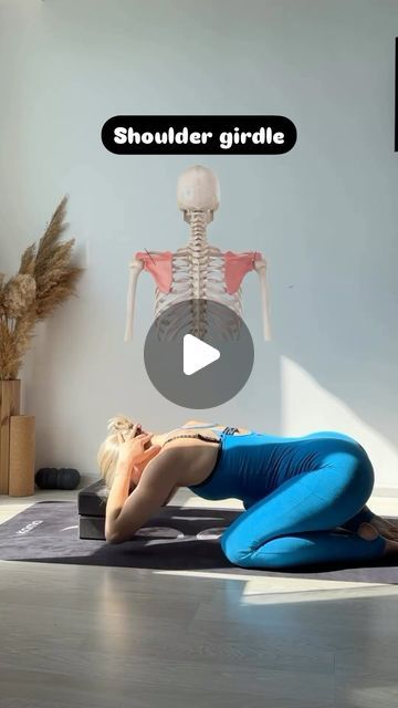 Alex Dalili on Instagram: "The importance of having an active and flexible shoulder girdle and its impact on posture has been emphasized often. Today, a mini routine is offered that combines strength and flexibility work. This combination is ideal for working on the shoulders, given their high mobility and the necessity for strength. In this video, the first two exercises are focused on strengthening the shoulder girdle muscles.

Repost @julia_probody (thank you) 

#ShoulderGirdle #Posture #Flexibility #StrengthTraining #ShoulderWorkout #FitnessRoutine #ExerciseTips #HealthAndFitness #Stretching #StrongShoulders #ActiveLifestyle #Mobility #ShoulderStrength #Yoga #Pilates #WorkoutRoutine #FitnessGoals #HealthyLiving #BodyStrength #FitnessJourney #ShoulderFlexibility #StrengthAndFlexibility Shoulder Strengthening Yoga, Shoulder Strengthening Exercises, Shoulder Flexibility, Strength Yoga, Strong Shoulders, Body Awareness, Strengthening Exercises, Get Happy, Shoulder Workout