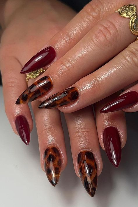 51 Cute Tortoise Shell Nails for Year Round Tortie Nail Inspo Maroon Nail Inspiration, French Fancy Nails, Black And Tortoise Shell Nails, French Tip And Full Nail, Matte Tortoise Nails, Tortoise Shell And Burgundy Nails, Fall Inspo Nails Almond Shape, Tortie Shell Nails, Maroon Leopard Nails