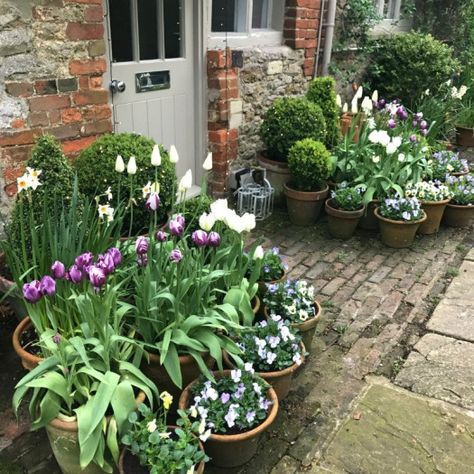 Cosy Garden Ideas, Rainy Climate, Cottage Front Garden, Small Garden Borders, Small English Garden, Small Front Gardens, Flower Containers, Small Courtyard Gardens, Front Garden Landscape