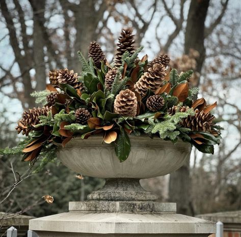 Winter Garden Flowers, Summer Planters, Winter Containers, Christmas Homes, Winter Planters, Christmas Urns, Christmas Greens, Outdoor Christmas Planters, 2025 Christmas