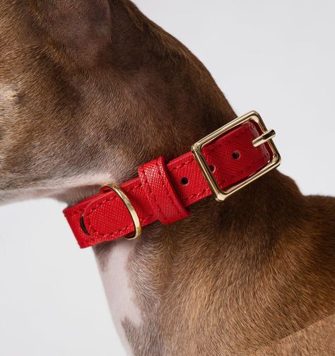 Red Leather Dog Collar - Small (22.5-32.5cm) Dog Collar Charms, Personalized Leather Dog Collar, Red Dog Collar, Dog Brand, Luxury Dog Collars, Dog Collar With Name, Dog Red, Cute Dog Collars, Custom Dog Collars