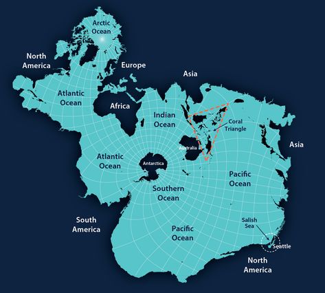 The Spilhaus Projection | Seattle Aquarium Map Of Earth, Whale Migration, Seattle Aquarium, Leopard Shark, Marine Debris, Science Club, Ocean Current, Earth Map, Southern Ocean