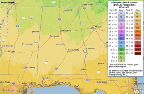 Alabama Gardening Basics: USDA Hardiness Zones & Frost Dates - Plant Something Alabama Dates Plant, Alabama Gardening, Southern Gardening, Gardening Basics, Vegetable Planting Guide, Date Plant, Pumpkin Vine, Hardiness Zones, Gardening Zones